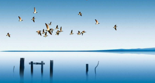 深圳网站建设公司