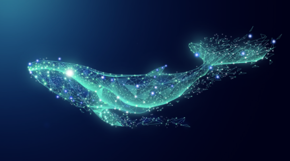 深圳网站建设公司